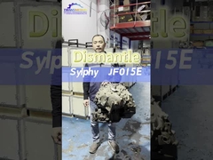 JF015E SZOKOWKA ZAGRODNIA