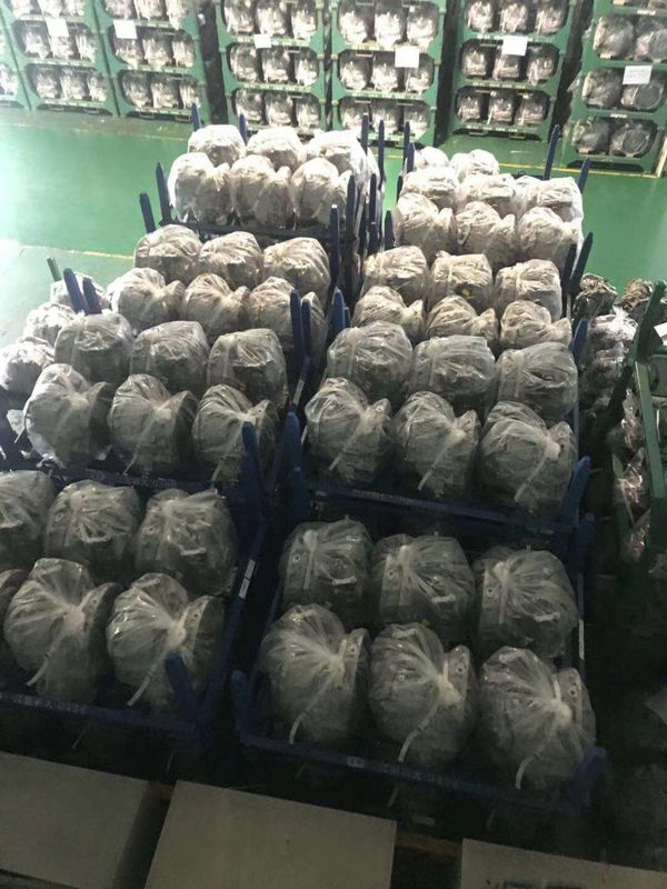 5-szybkość 3.5L OE Transmission Assembly dla Chryslera 300C 5175491AB P52109491AB 722.6