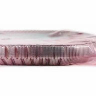 2KG JF017E RE0F10D Zestaw biegów Łańcuch pasów dla TEANA X Trail QASHQAI 901074 901089 901096